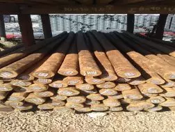 Distribuidor de Madeira Tratada em Cotia