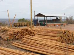 Distribuidor de Madeira Tratada em Ibiúna