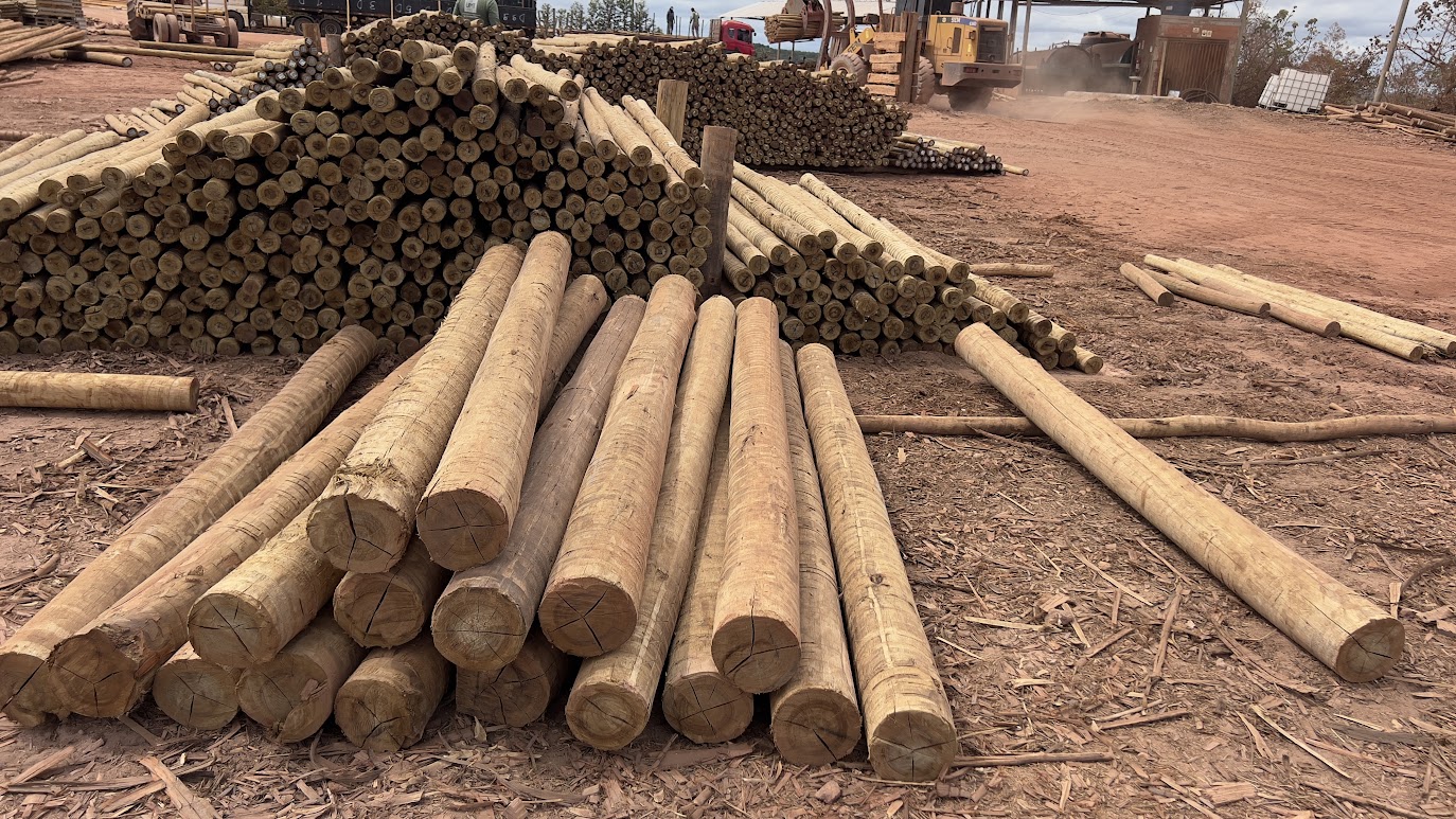 Empresa de Madeira em Alphaville