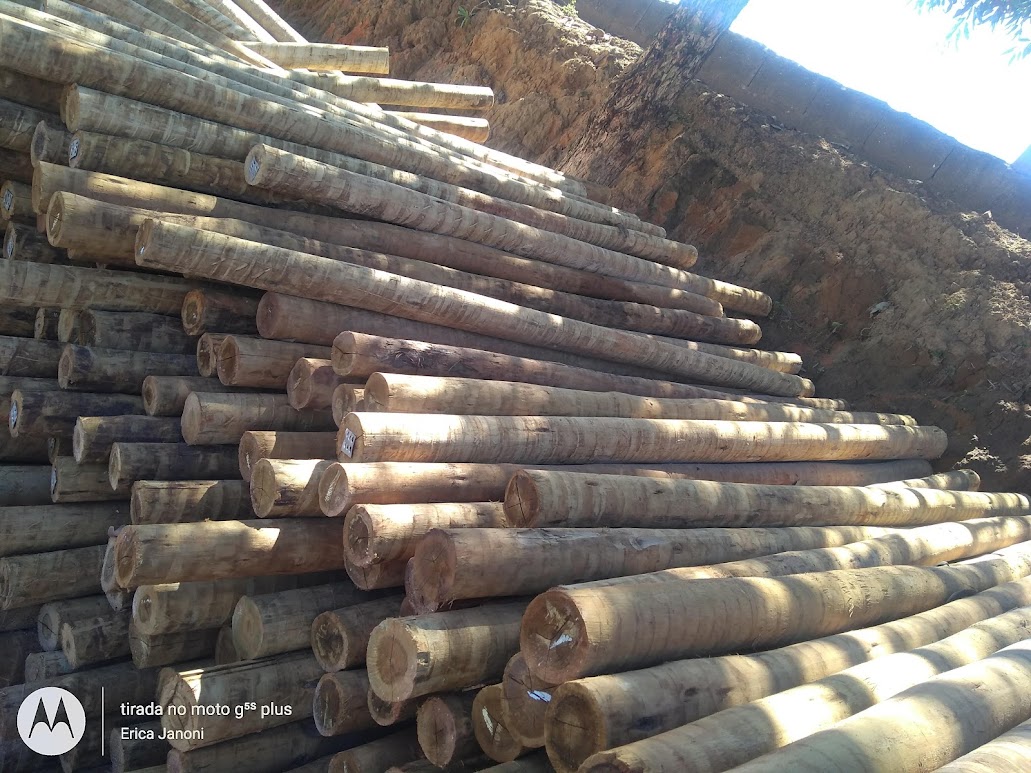 Empresa de Madeira em Cotia