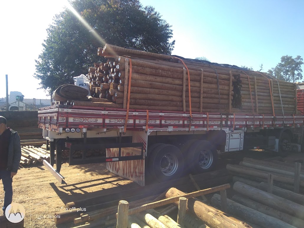 Empresa de Madeira em São Paulo