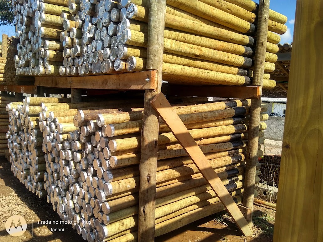 Empresa de Pinus Tratado em Ibiúna