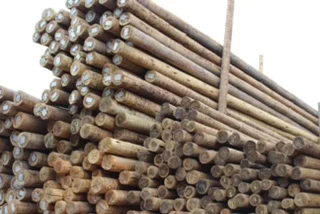 Fabricante de Madeira Tratada em Ibiúna