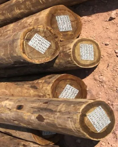 Madeira de Eucalipto Tratado em Araçariguama