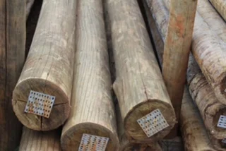 Madeireira em Sorocaba