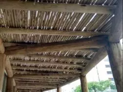 Pergolado de Eucalipto Simples em Sorocaba