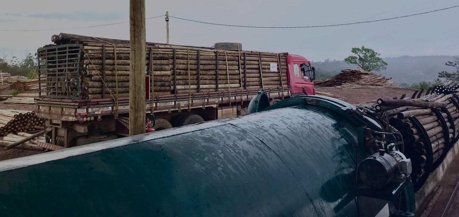 Usina de Eucalipto Tratado em Campinas